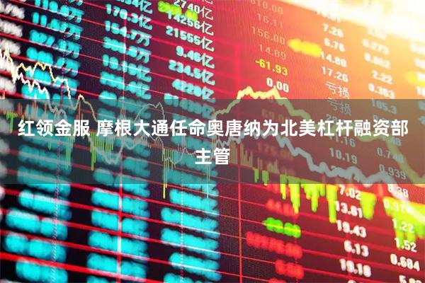 红领金服 摩根大通任命奥唐纳为北美杠杆融资部主管