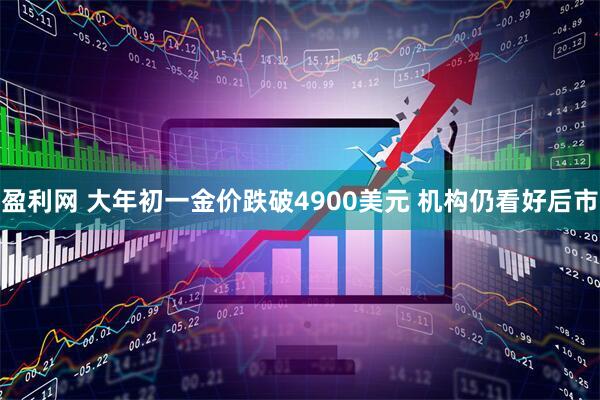 盈利网 大年初一金价跌破4900美元 机构仍看好后市