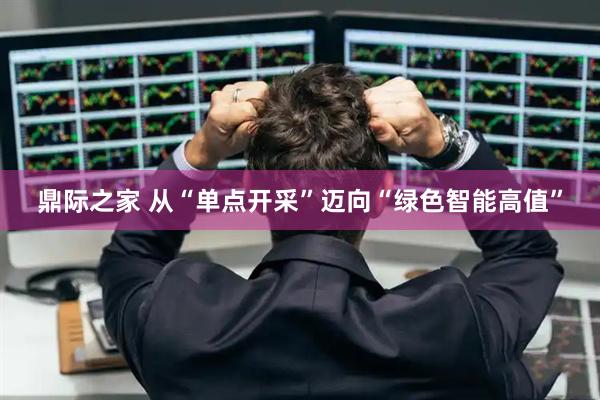 鼎际之家 从“单点开采”迈向“绿色智能高值”