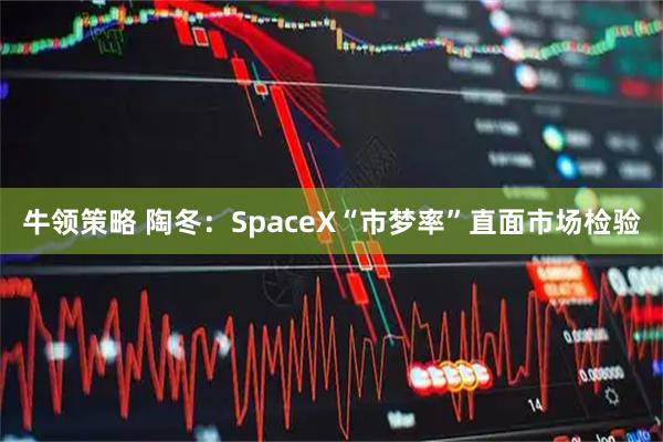 牛领策略 陶冬：SpaceX“市梦率”直面市场检验